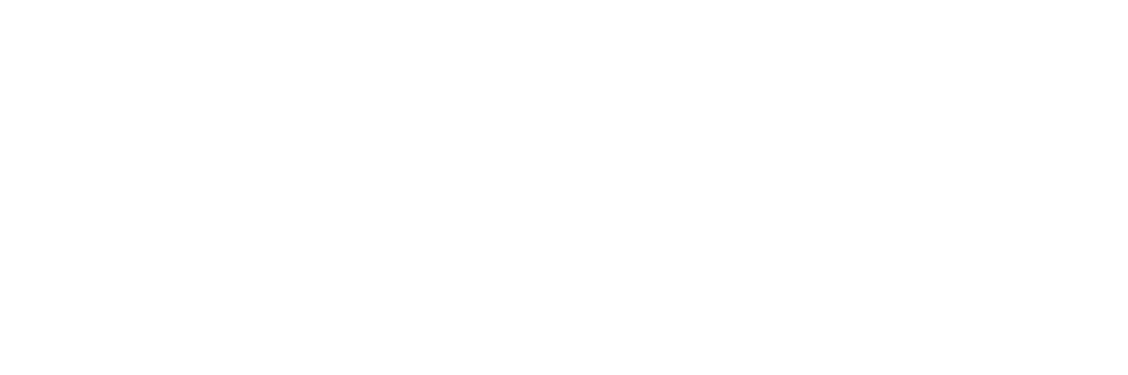 betaview logo png